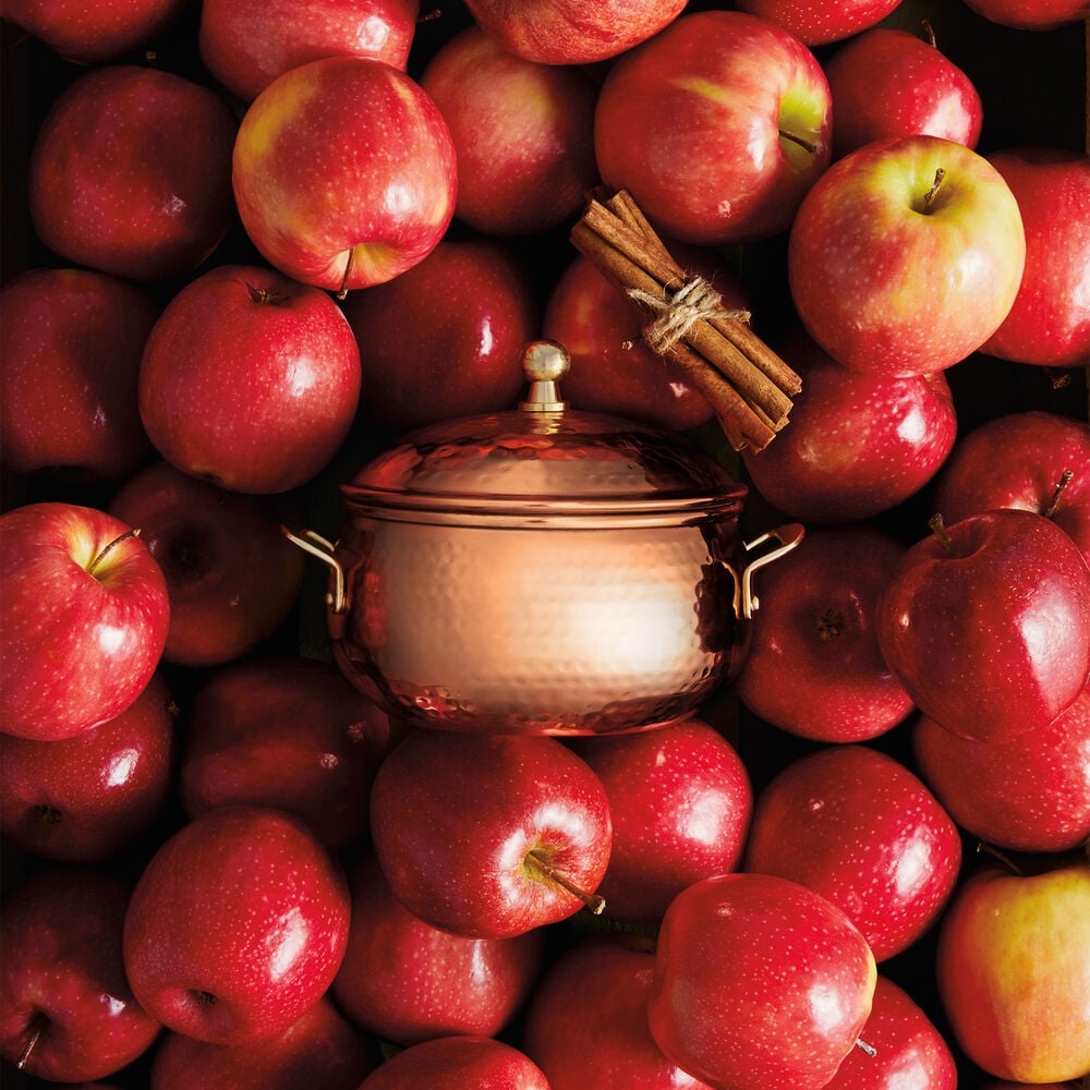 Thymes Simmered Cider Copper Pot 3 Wick Candle Displayed with Apples image number 2